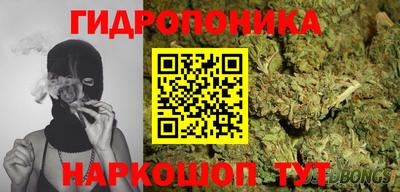 прущие грибы Гусиноозёрск