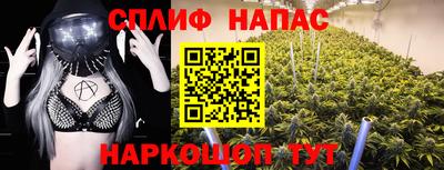 прущие грибы Гусиноозёрск