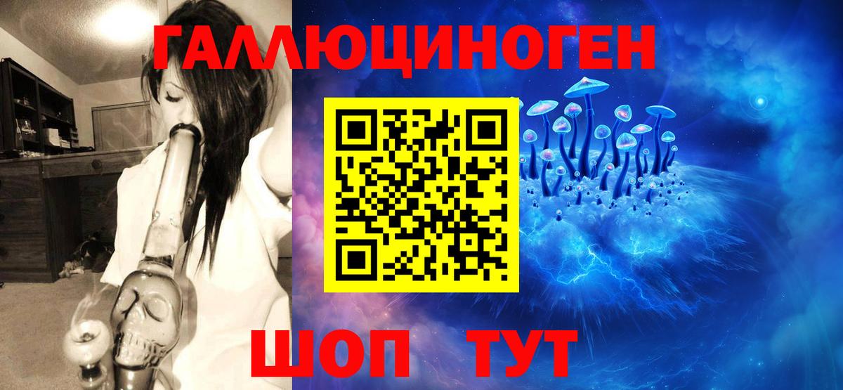 Псилоцибиновые грибы Psilocybine cubensis Крымск